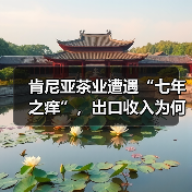 肯尼亚茶业遭遇“七年之痒”,出口收入为何急剧下滑?(图3) 肯尼亚茶业遭遇“七年之痒”,出口收入为何急剧下滑?(图3)