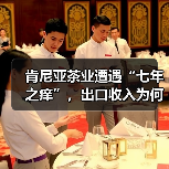 肯尼亚茶业遭遇“七年之痒”,出口收入为何急剧下滑?(图4) 肯尼亚茶业遭遇“七年之痒”,出口收入为何急剧下滑?(图4)
