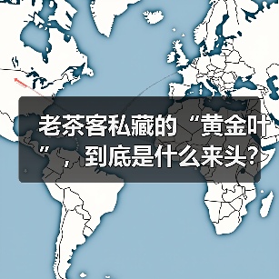 老茶客私藏的“黄金叶”,到底是什么来头?(图2) 老茶客私藏的“黄金叶”,到底是什么来头?(图2)