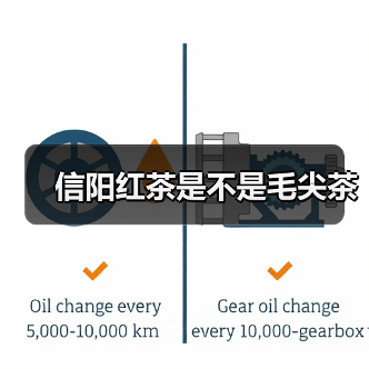 信阳红茶是不是毛尖茶(图2) 信阳红茶是不是毛尖茶(图2)