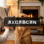 遵义红茶是红茶吗(图2) 遵义红茶是红茶吗(图2)