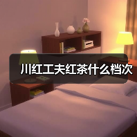 川红工夫红茶什么档次(图2) 川红工夫红茶什么档次(图2)