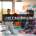 川红工夫红茶什么档次(图4) 川红工夫红茶什么档次(图4)