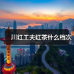 川红工夫红茶什么档次(图3) 川红工夫红茶什么档次(图3)