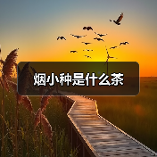烟小种是什么茶(图2) 烟小种是什么茶(图2)
