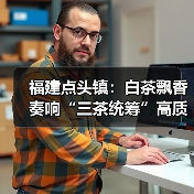 福建点头镇:白茶飘香 奏响“三茶统筹”高质量发展奋进曲(图4) 福建点头镇:白茶飘香 奏响“三茶统筹”高质量发展奋进曲(图4)