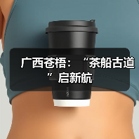 广西苍梧：“茶船古道”启新航（图2）