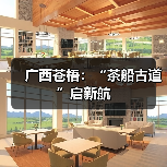 广西苍梧：“茶船古道”启新航（图3）