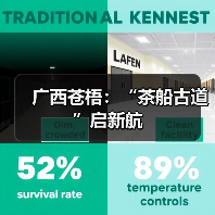 广西苍梧：“茶船古道”启新航（图4）