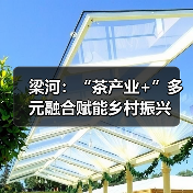 梁河：“茶产业+”多元融合赋能乡村振兴（图1）