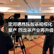 梁河德昂族酸茶规模化量产 回龙茶产业再升级(图2) 梁河德昂族酸茶规模化量产 回龙茶产业再升级(图2)
