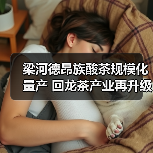 梁河德昂族酸茶规模化量产 回龙茶产业再升级(图4) 梁河德昂族酸茶规模化量产 回龙茶产业再升级(图4)