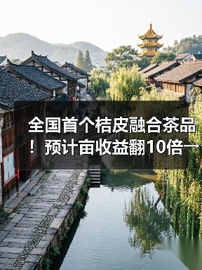 全国首个桔皮融合茶品!预计亩收益翻10倍→(图4) 全国首个桔皮融合茶品!预计亩收益翻10倍→(图4)
