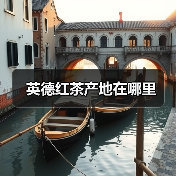 英德红茶产地在哪里(图4) 英德红茶产地在哪里(图4)