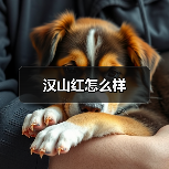 汉山红怎么样(图2) 汉山红怎么样(图2)