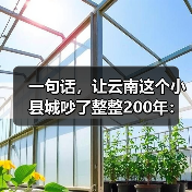 一句话，让云南这个小县城吵了整整200年：普洱到底产不产茶？（图3）