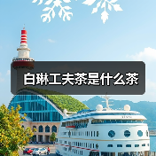 白琳工夫茶是什么茶（图4）