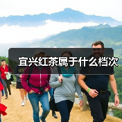 宜兴红茶属于什么档次（图1）