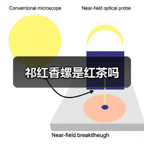 祁红香螺是红茶吗(图3) 祁红香螺是红茶吗(图3)