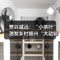 景谷威远:“小茶叶”激发乡村振兴“大动能”(图1) 景谷威远:“小茶叶”激发乡村振兴“大动能”(图1)