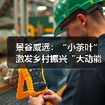 景谷威远:“小茶叶”激发乡村振兴“大动能”(图2) 景谷威远:“小茶叶”激发乡村振兴“大动能”(图2)