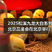 2025松溪九龙大白系列北京品鉴会在北京举行(图2) 2025松溪九龙大白系列北京品鉴会在北京举行(图2)
