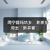 周宁县玛坑乡:老茶乡沏出“新茶香”(图1) 周宁县玛坑乡:老茶乡沏出“新茶香”(图1)