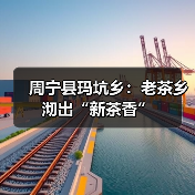 周宁县玛坑乡:老茶乡沏出“新茶香”(图2) 周宁县玛坑乡:老茶乡沏出“新茶香”(图2)