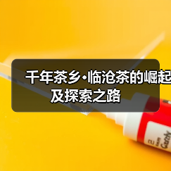 千年茶乡·临沧茶的崛起及探索之路(图4) 千年茶乡·临沧茶的崛起及探索之路(图4)