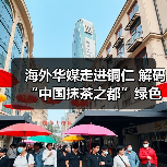 海外华媒走进铜仁 解码“中国抹茶之都”绿色崛起(图4) 海外华媒走进铜仁 解码“中国抹茶之都”绿色崛起(图4)