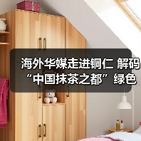 海外华媒走进铜仁 解码“中国抹茶之都”绿色崛起(图3) 海外华媒走进铜仁 解码“中国抹茶之都”绿色崛起(图3)