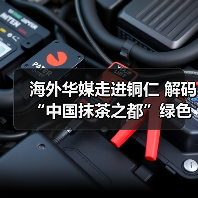 海外华媒走进铜仁 解码“中国抹茶之都”绿色崛起(图2) 海外华媒走进铜仁 解码“中国抹茶之都”绿色崛起(图2)