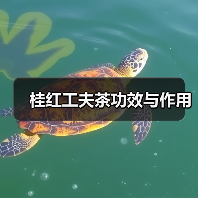 桂红工夫茶功效与作用（图2）