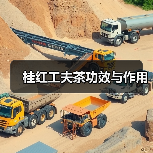桂红工夫茶功效与作用（图1）