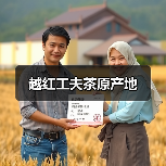 越红工夫茶原产地（图2）