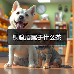 铜骏眉属于什么茶（图4）