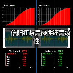 信阳红茶是热性还是凉性（图1）