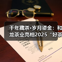 千年藏茶·岁月鎏金：和龙茶业亮相2025“好茶在‘县’”品牌推介会（图3）