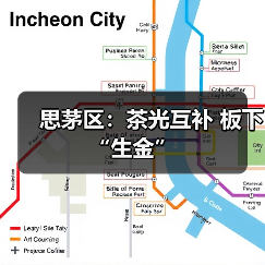 思茅区：茶光互补 板下“生金”（图4）