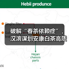 破解“春茶依赖症”,汉滨谋划安康白茶高质量发展(图2) 破解“春茶依赖症”,汉滨谋划安康白茶高质量发展(图2)