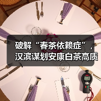 破解“春茶依赖症”,汉滨谋划安康白茶高质量发展(图3) 破解“春茶依赖症”,汉滨谋划安康白茶高质量发展(图3)