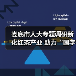 娄底市人大专题调研新化红茶产业 助力“国字号”龙头企业月光茶业高质量发展(图3) 娄底市人大专题调研新化红茶产业 助力“国字号”龙头企业月光茶业高质量发展(图3)