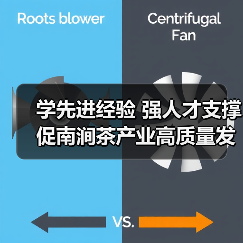 学先进经验 强人才支撑 促南涧茶产业高质量发展(图2) 学先进经验 强人才支撑 促南涧茶产业高质量发展(图2)