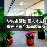 学先进经验 强人才支撑 促南涧茶产业高质量发展(图1) 学先进经验 强人才支撑 促南涧茶产业高质量发展(图1)