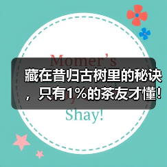 藏在昔归古树里的秘诀，只有1%的茶友才懂！（图1）