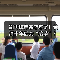 别再被存茶忽悠了！普洱十年后变“废柴”？数据打脸“越陈越香” - 今日头条（图3）