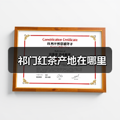 祁门红茶产地在哪里（图4）