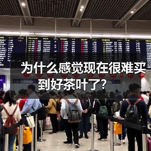 为什么感觉现在很难买到好茶叶了？（图4）