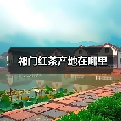 祁门红茶产地在哪里（图3）