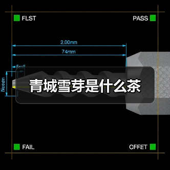 青城雪芽是什么茶（图2）